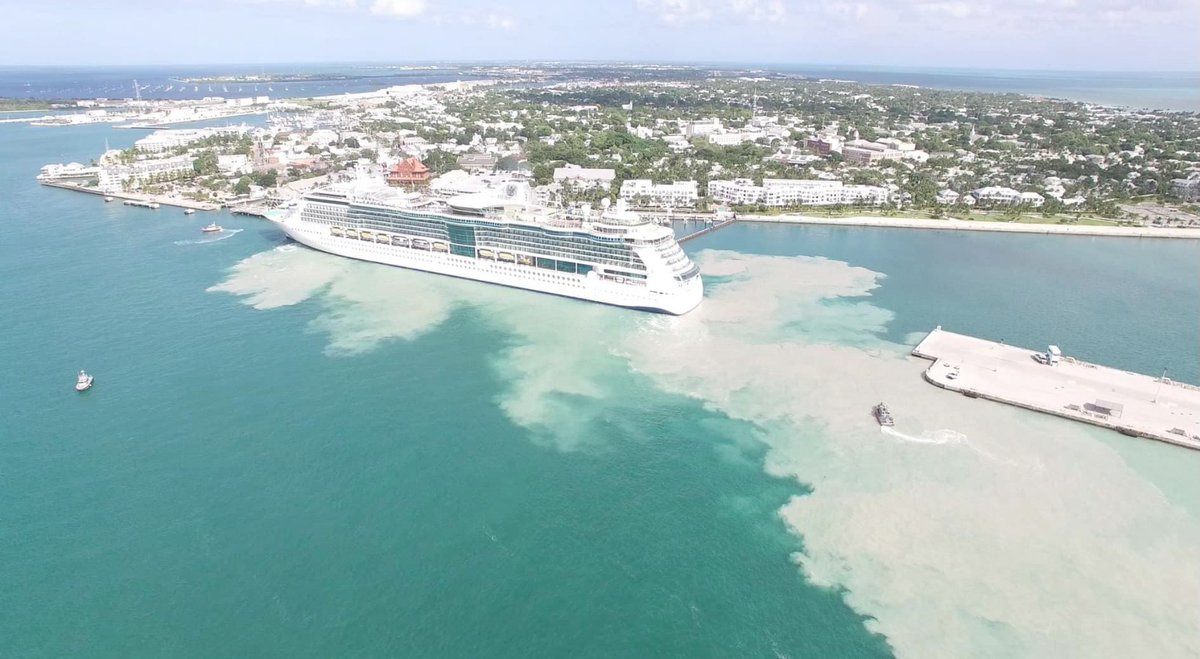 MarkerKey's tweet image. On Saturday February 5, locals will protest the arrival of @CelebrityCruise Constellation, scheduled to arrive at 11:30. 
Come down to Mallory Square, or bring your boat. 
Celebrity has a chance to cancel, we hope they do. 
We are standing up for our vote, our reef, and our town.