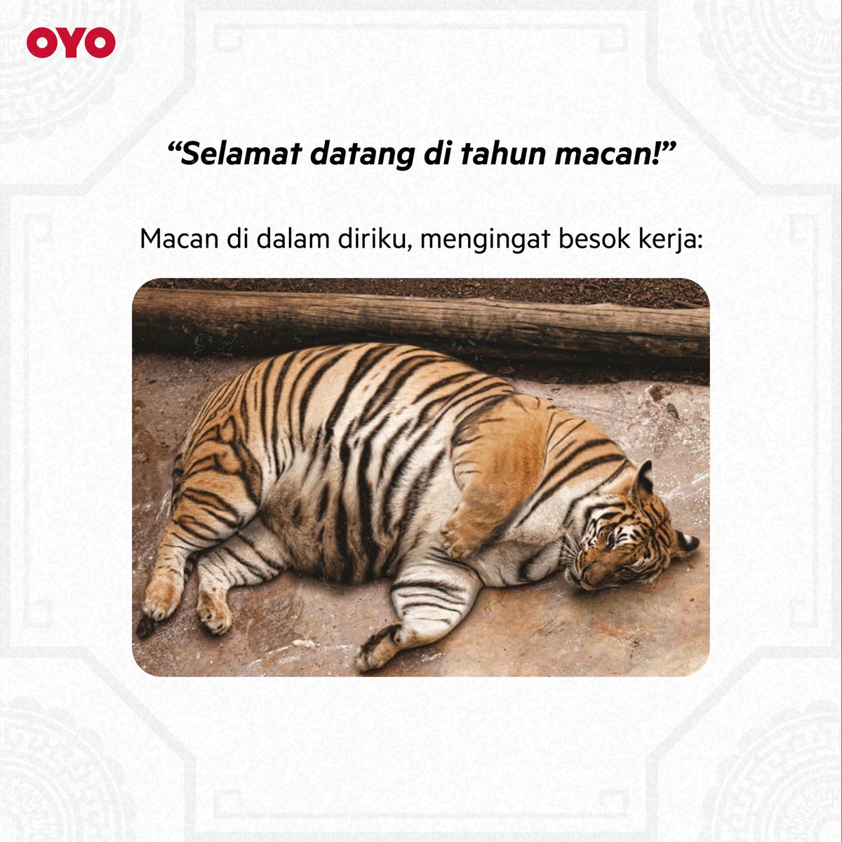 oyoindonesia's tweet photo. Aku setelah makan 20 kue keranjang🥲⁣
⁣
Lagi nyantai eh keinget besok udah kerja lagi😩 Tapi tenang aja, biar ngga kerasa kerja banget nih besok, #WorkFromHotel di OYO aja!⁣
⁣
Ada kamar dari Rp 90.000 + voucher Tokopedia di aplikasi OYO.⁣
⁣
#OYOIndonesia #OYOSafecation https://t.co/0N2laOeu5s