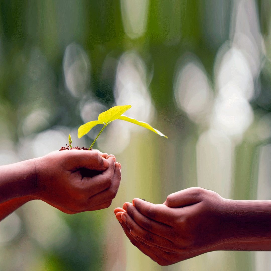 Trabajamos cada día para generar un impacto positivo. Recuerda que cada acto es importante, no dejes de pensar lo que puedes hacer para mejorar el mundo a través de pequeños gestos, al final, ¡son los que generan el Cambio! 🌎 ♻️

#mabaki #sumatealcambio #eselmomento #zerowaste