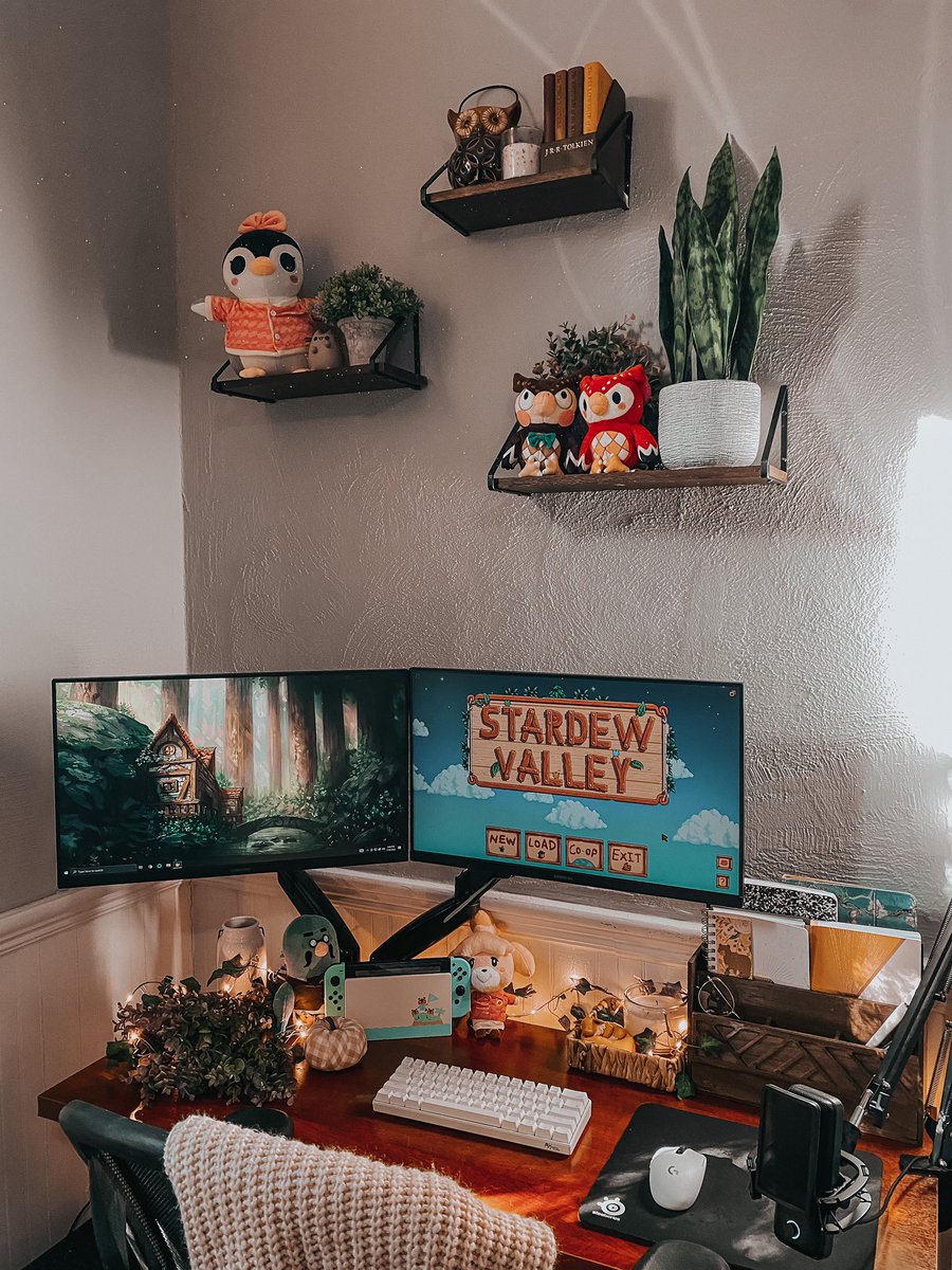 itisfel's tweet photo. My cozy little setup🪴💫 #acnh #stardewvalley #GamingSetup https://t.co/vZE5TeklQA