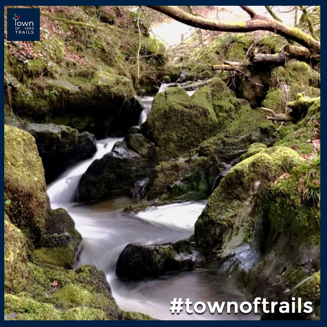 townoftrails's tweet photo. Deep into the heart of Craik Forest, south-west of Hawick, a stunning waterfall can be found!
Have you visited before? If not, why not use our trail below and discover it today 🌲
https://t.co/IeGmA6emkp
#townoftrails #proHawick #trails #discovertoday https://t.co/YTsO5lhY99