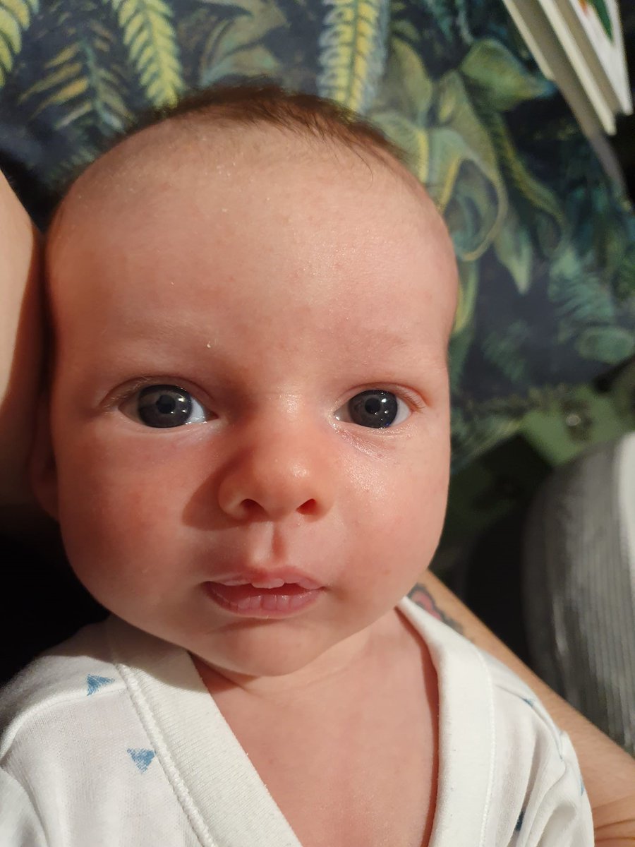 Protest ES Ltd tweet media