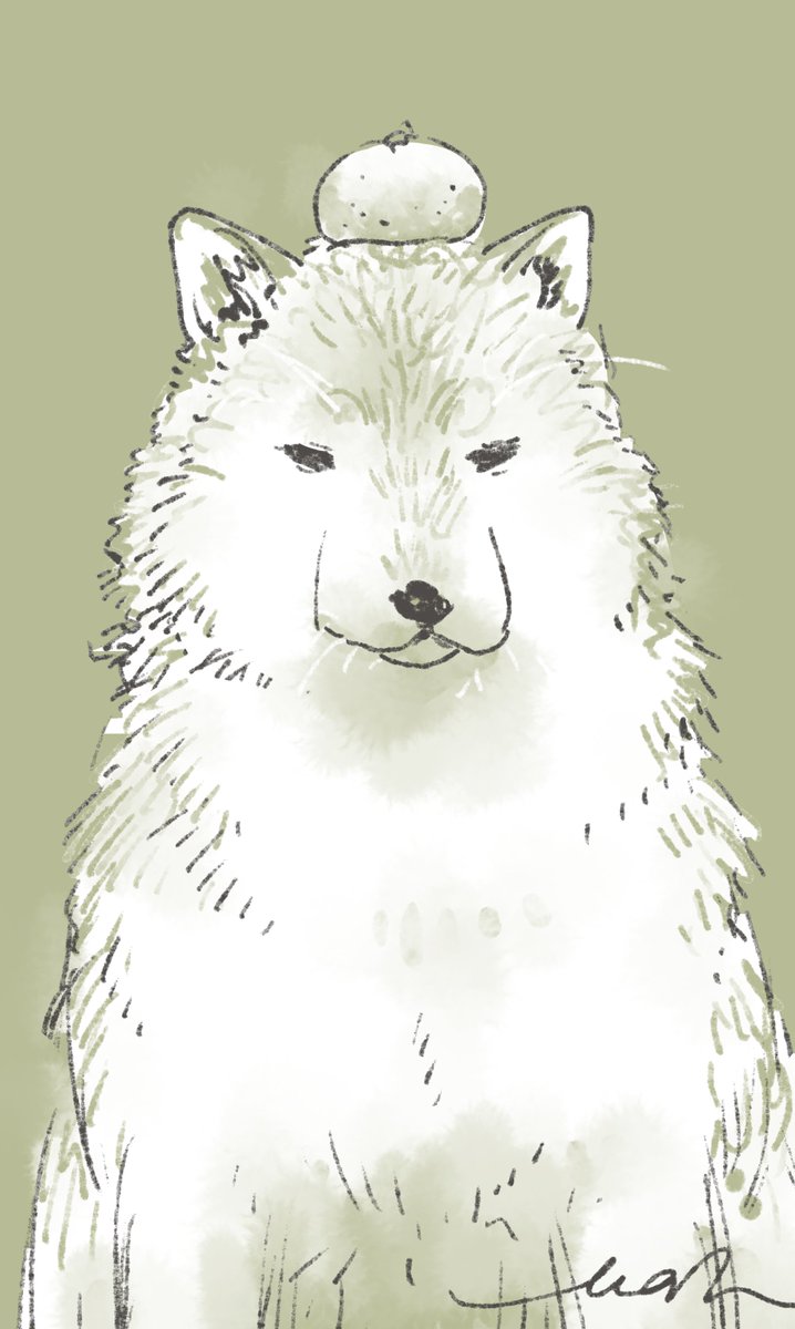 Twoucan Mah Mah Hirano