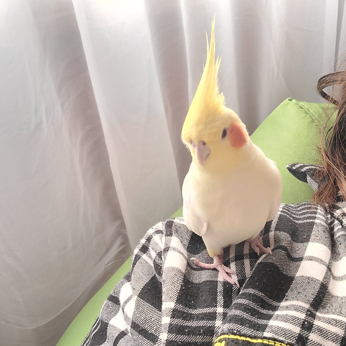 기르💛연지 tweet media