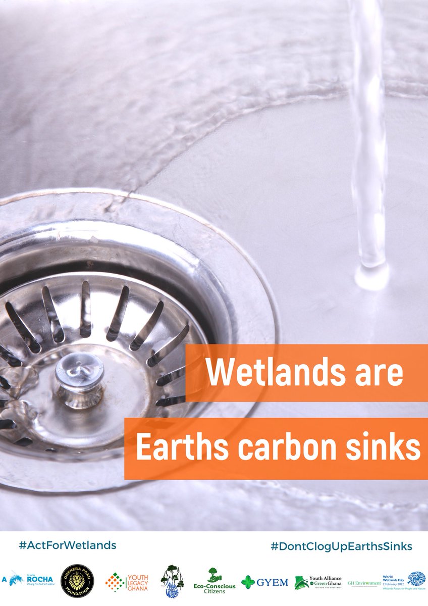 𝐃𝐨 𝐍𝐨𝐭 𝐃𝐞𝐬𝐭𝐫𝐨𝐲 𝐭𝐡𝐞 𝐒𝐢𝐧𝐤
#Wetlands are usually known for mass carbon storage.
They act as sinks for chemicals from the atmosphere such as CO2, methane etc. Destroying these sinks would lead to higher levels of CO2 and other harmful gases in the atmosphere.