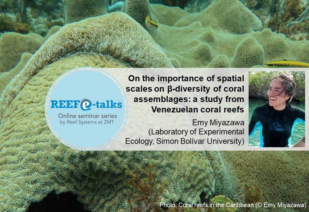 All about beta-diversity and spatial scale in Venezuelan #coral assemblages. Register here: us02web.zoom.us/meeting/regist… for February’s online Reef e-talk by <a href="/emymiyazawa/">emi ⚡️</a> (Simon Bolivar University). On 16th Feb at 9 am (Venezuelan time) 4pm CET. #LeibnizZMT  #WomenInSTEM #scicomm