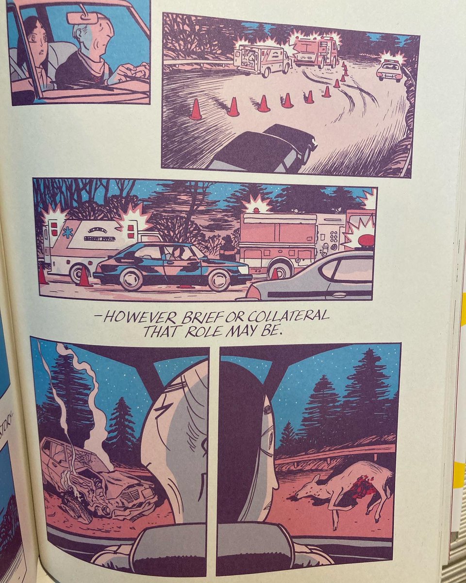 strangeadventrz's tweet photo. Beck in stock! David Mazzuchelli’s ASTERIOS POLYP is a masterclass in colour usage, spare linework, and storytelling innovation from one of the best in the business. #asteriospolyp #davidmazzucchelli #pantheonbooks #readmorecomics https://t.co/3DlSghDovw