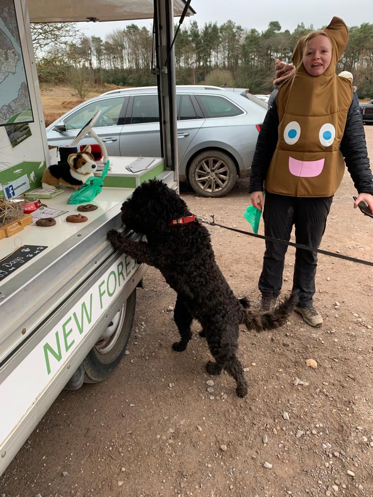 Fun engagement about a serious issue: we've been out chatting to #NewForest dog walkers today about why picking up your pet's poo is so important for livestock &amp; human health #bagandremove