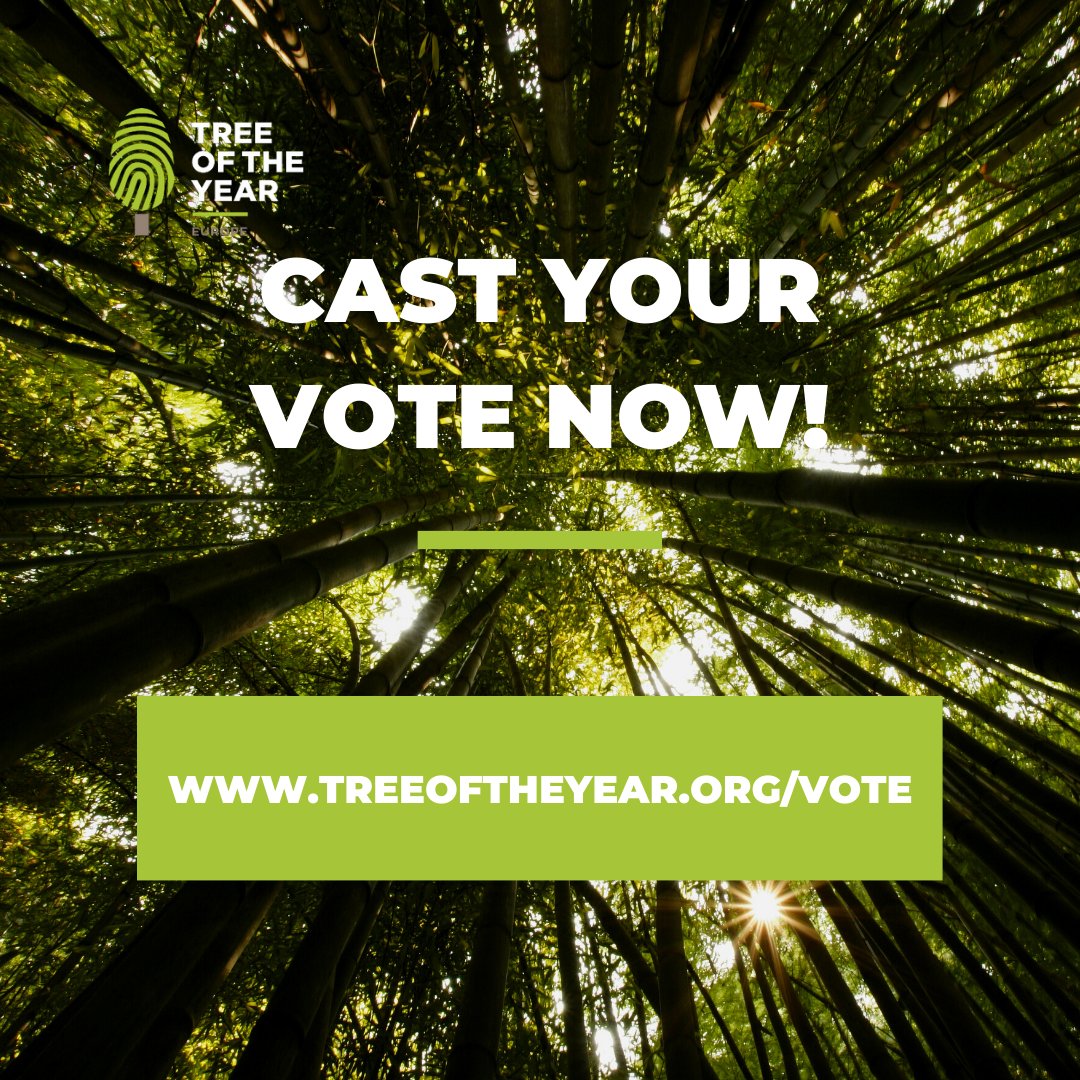 TreeoftheYear's tweet image. VOTING FOR THE EUROPEAN TREE OF THE YEAR 2022 HAS JUST STARTED!🌳🌲
16 trees, 16 extraordinary stories and 16 loving communities are waiting for your vote. Visit our new website 👉 treeoftheyear.org/Vote and select two trees that impressed you the most.💚

#ETY2022 #TreeStories