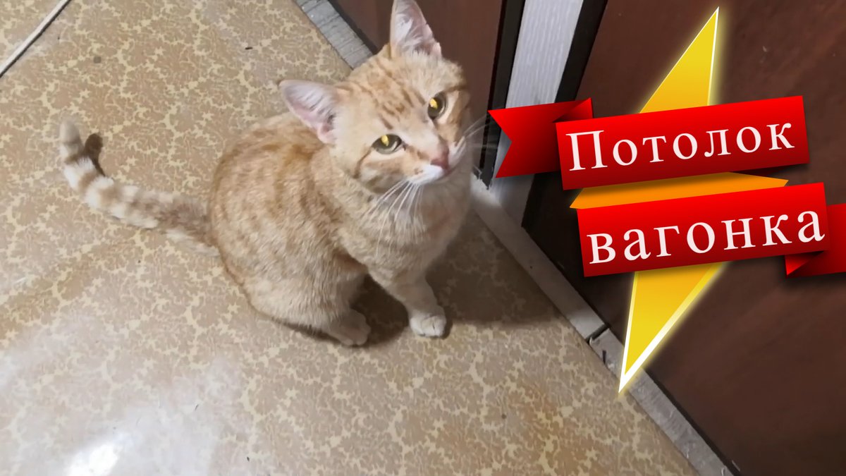 plansoft's tweet image. Как обшить потолок вагонкой youtu.be/yr70w7xvNTQ через @YouTube