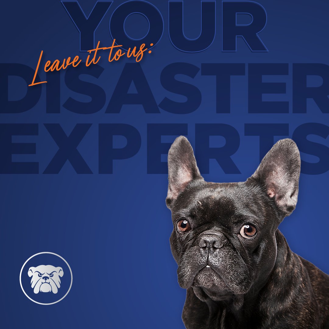 Be it hurricane damage, water damage, fire, or wind, Bulldog Adjusters is here to help you get the money you need from your insurance company to repair your property damages and get you back on track. We're licensed in 45 states and have over 12 years of experience in fightin ... https://t.co/7ryaImFZgs