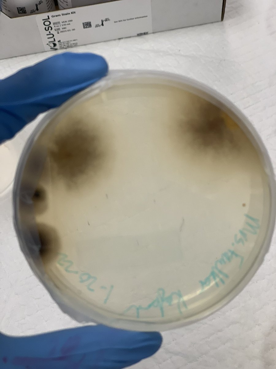 Leander High School tweet media