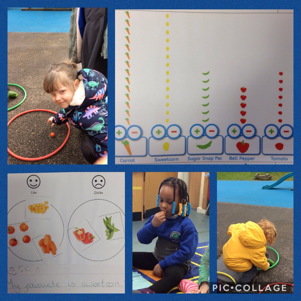 glyncoedprm1's tweet photo. Miss Jones' class have had a great start to STEM Week! We taste tested vegetables to see which ones we wanted to include in our soup and sorted them by taste and colour. We then used balance scales to measure how much of each vegetable we will use in our recipes. #GlyncoedNursery https://t.co/77kNKY8Lj5