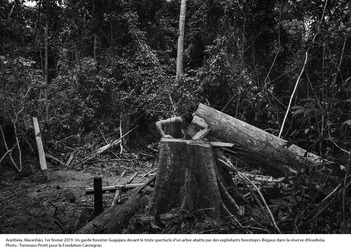 FdnCarmignac's tweet photo. #DerniersJours
L'exposition AMAZÔNIA de @tomprotti est toujours à découvrir jusqu'au 3 février à Cayenne.
▶️https://t.co/42YNNKe2RY
#RPG21 #PrixCarmignac
#RencontresPhotographiquesDeGuyanne https://t.co/HJ242lI1cA