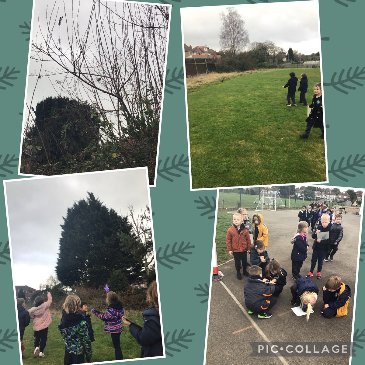We loved getting involved in the RSPB Big Birdwatch today!
It was exciting but we managed to sneak up nice and close to a little robin in the tree too! 🌳🦅
<a href="/AvonwoodScience/">Avonwood Science 🔬🚀🌱 Clare Grimley</a> <a href="/Natures_Voice/">RSPB</a>