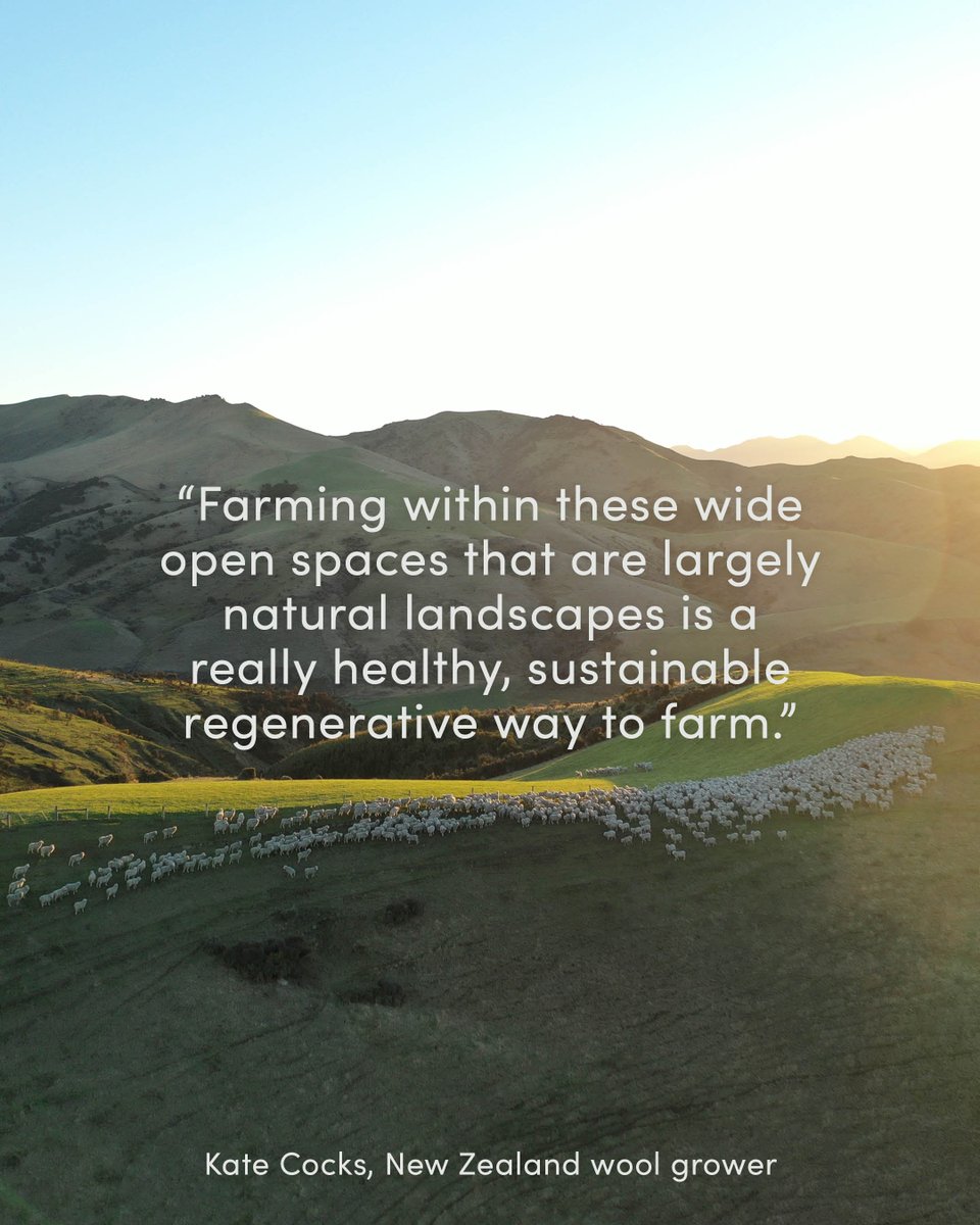 icebreakernz's tweet photo. Sustainability isn’t just a feature of our products, it’s in the values and design of icebreaker.
Together with The New Zealand Merino Company, we are proud to develop deep, long term relationships with merino growers.
#movetonatural
#ZQRX
#RegenerativeWool https://t.co/g2DJcz1bQO