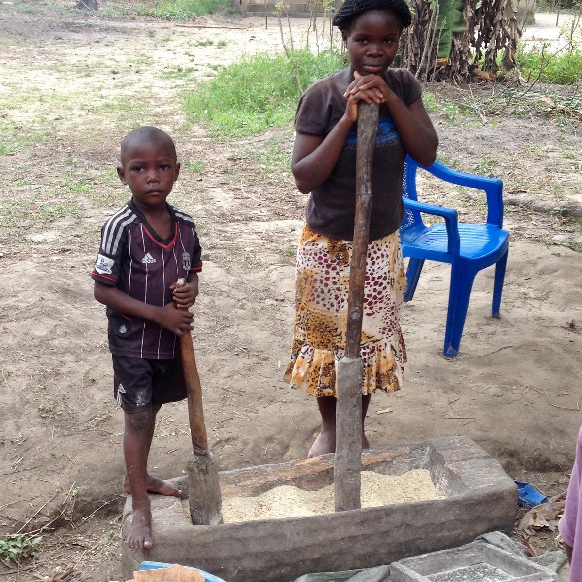 Habitat Technologies Solutions for the Congo tweet media