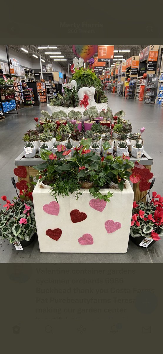 Marty Harris tweet media