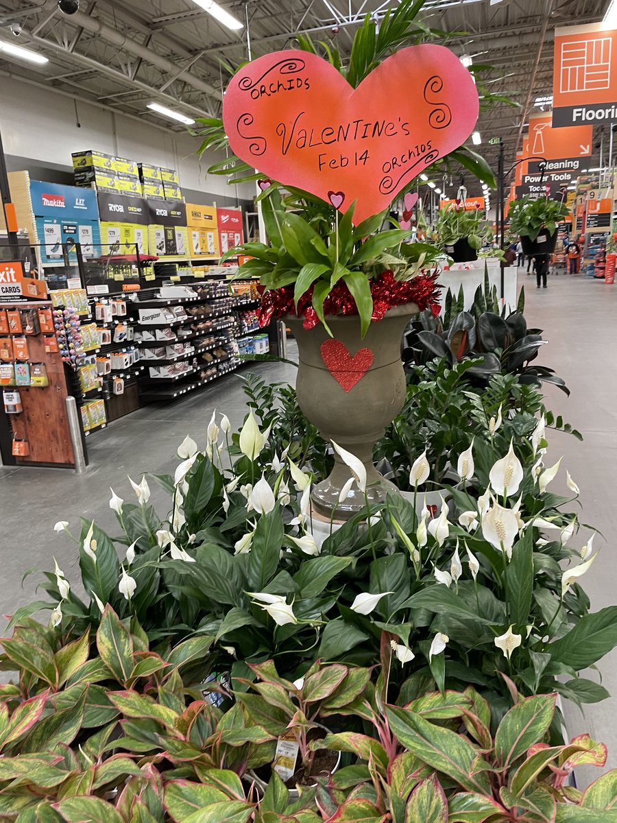 Marty Harris tweet media