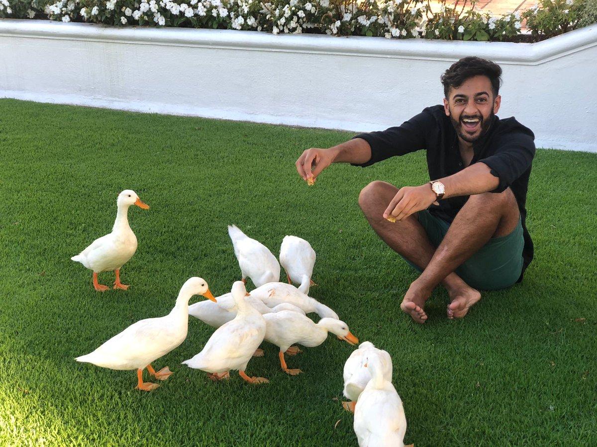 Yasser Mowzer tweet media