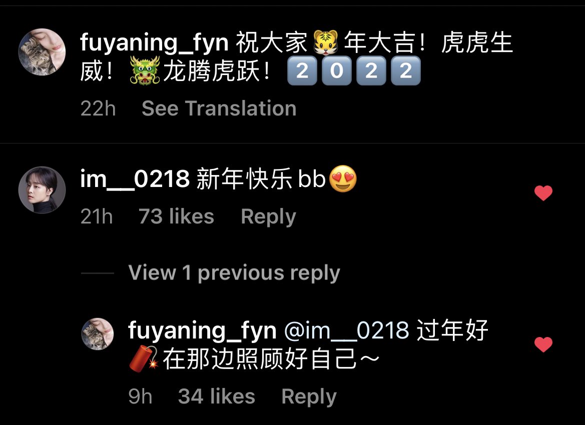 220201 yaning and yiman’s comments under yaning’s cny ig post

yiman: happy new year bb😍
yaning: happy new year🧨take care of yourself over there~

(yiman’s in kor alone most probably)

#fuyaning #liyiman #符雅凝 #李伊蔓