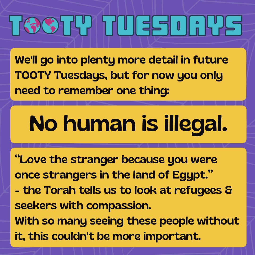 LJY-Netzer tweet media