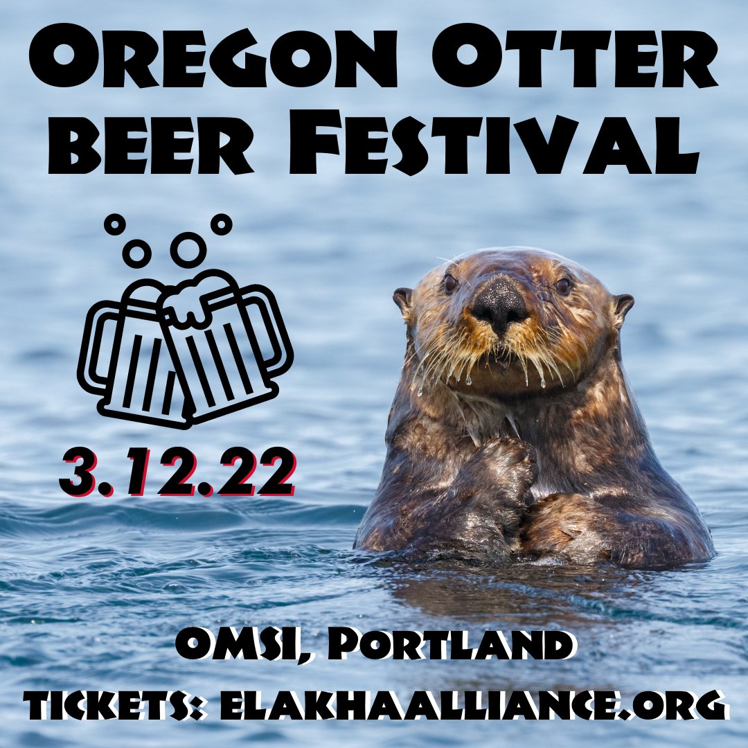 Happy #OregonCraftBeerMonth 🥳! Celebrate by grabbing tickets to the #OregonOtterBeer Festival🦦🍻 Early bird tickets are going quick! 🎟️: bit.ly/OregonOtterBeer

#seaotters #craftbeer #oregonbeer #otters #pnw #beer #seaotter #marinemammals #nonprofit #beerfest