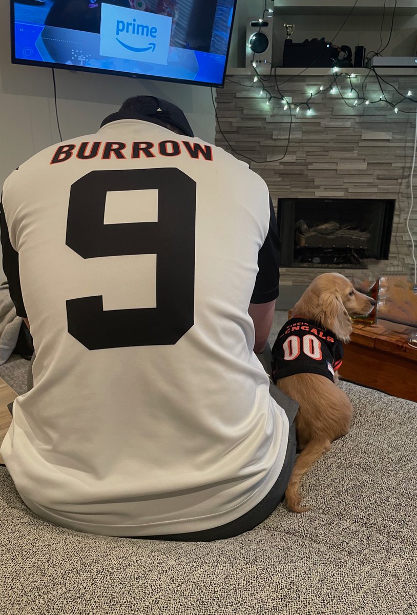 austinmac01's tweet photo. Not only have I ALWAYS been a Bengals fan, but so have my pets. SoFi needs more Bengals fans!! https://t.co/T4d2OWLvKq