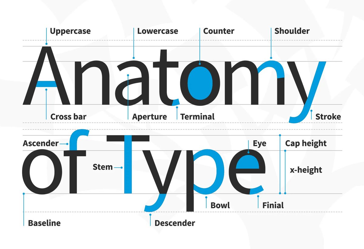 David Teodorescu tweet media