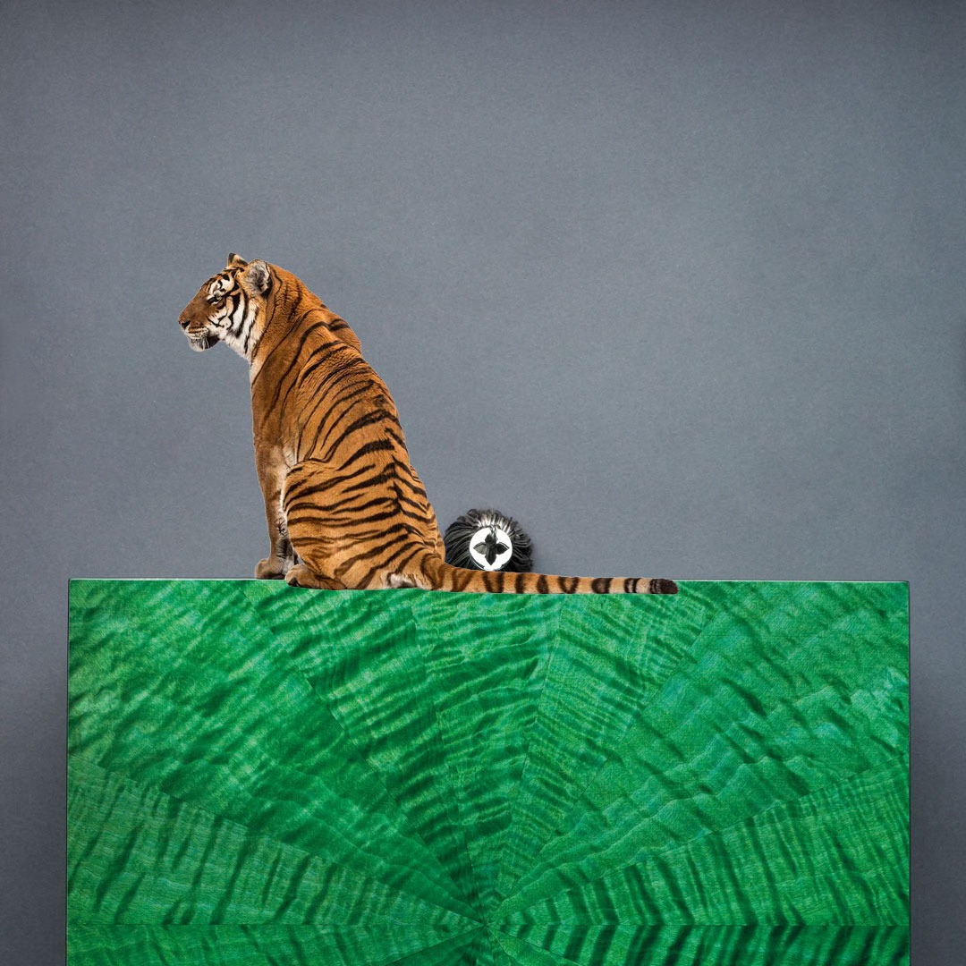 Lotusier tweet media