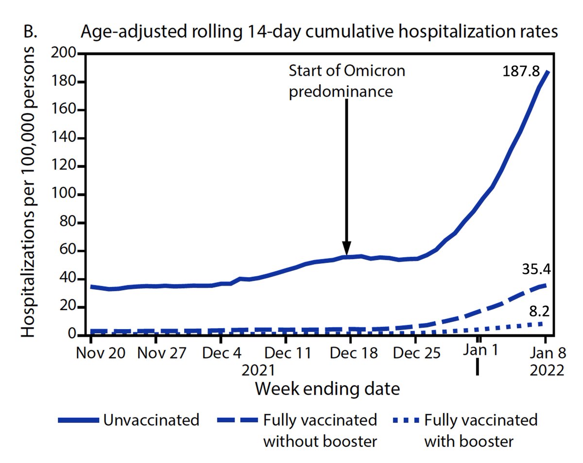 EricTopol's tweet photo. New @CDCMMWR report for Omicron wave
Vaccination + booster: 96% reduced hospitalization 
Vaccination, w/o booster: 81% reduced hospitalization 
Compared with unvaccinated, 8 January 2022, @CountyofLA (largest US county) @lapublichealth  
https://t.co/M5XlNzG50j https://t.co/oANEDEGODp