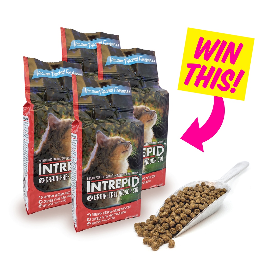 ModernCatMag's tweet photo. Giveaway alert! Win 1 of 5 12-pack cases of @IntrepidPet Grain-Free Indoor Cat food. Their exclusive 1.4 lb vacuum packages maximize nutritional value and keep the kibble fresh by preventing oxidation! 🐾

Enter now: https://t.co/cckIh9LbtT #moderrncat #catfood #giveaway #cats https://t.co/PMKpNxRRIP