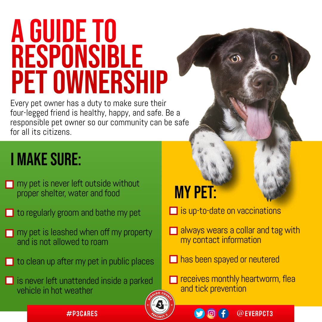 How To Make Dog Tags Not Jingle