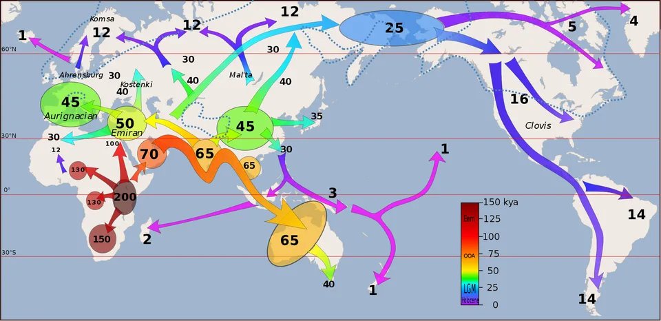 simongerman600's tweet photo. Map shows the timeline of early human migrations. There are several theories of how this played out exactly. The funky detail that stands out here is that Madagascar appears to have been settled from Indonesia rather than the African mainland? Source: https://t.co/nu8NysRRlh https://t.co/rL4v0Gd7qw