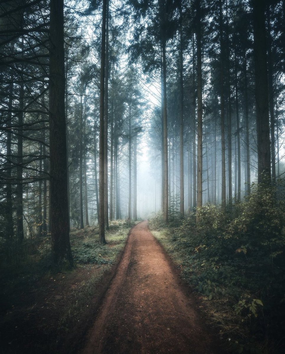 JamieJOut's tweet image. Good Misty Morning Friends. 👋 Share with me your favourite foggy moments today.