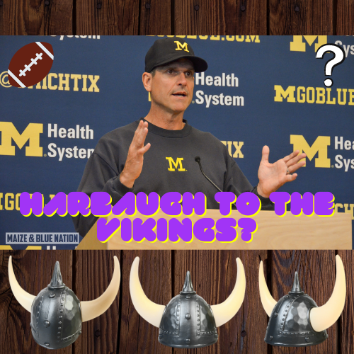 SkolPurplePod's tweet photo. Coming up tomorrow night, episode 5 of the #SkolPurplePodcast! We'll be either talking about Jim Harbaugh as the new coach or hashing over the finalists.

Join us for some fun conversation and maybe some speculation, too. #Skol #Vikings 

🎥 https://t.co/130rB8zciQ https://t.co/hIwN8lDiER