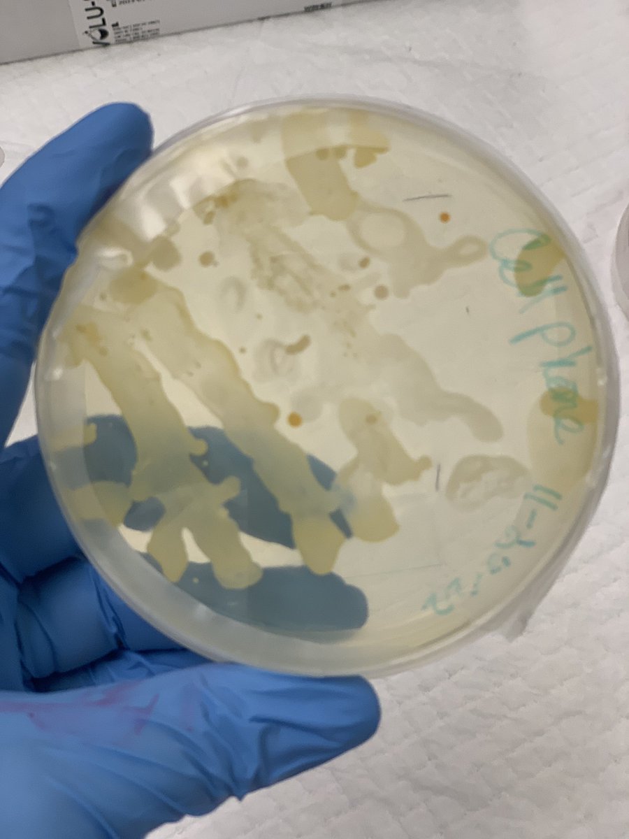 Mrs.V's Classroom tweet media