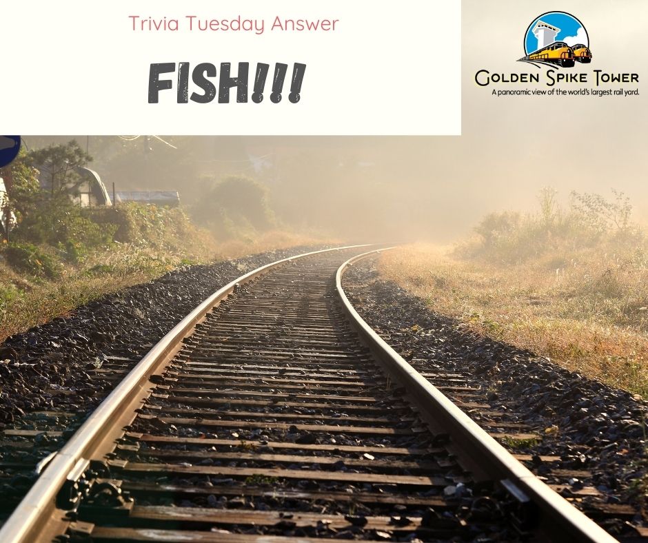 GoldenSpikeTwr's tweet image. #TriviaTuesdayAnswer