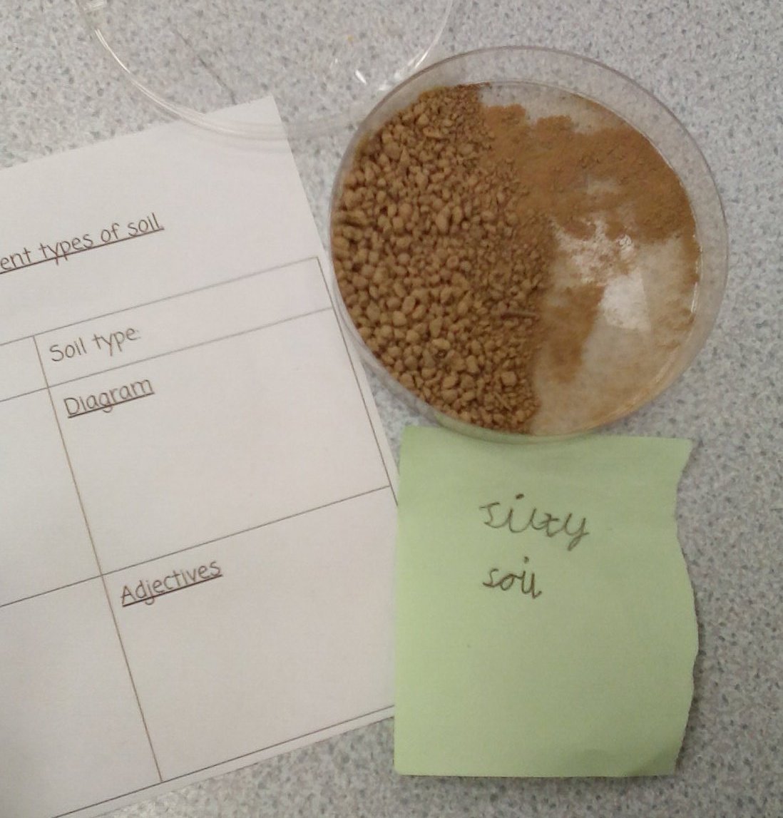 LakesideYork's tweet photo. Team Hazel have been learning about different types of soil, taking soil samples and describing the different properties. #lakeside #lakesidescience https://t.co/pGX9DVInFS