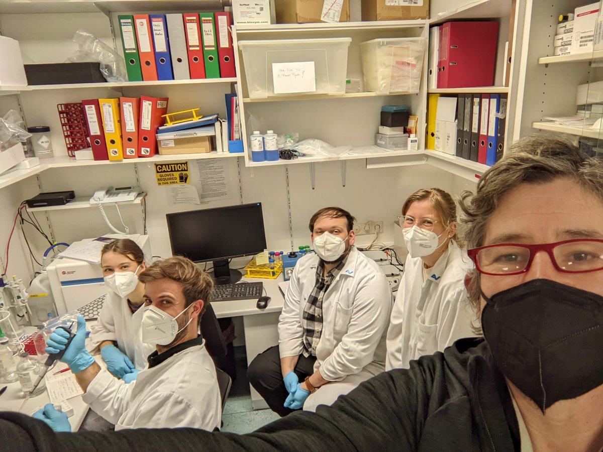 ASEV_Austria's tweet photo. combining fluo-triggered flow cytometry (#cytoflex) with nanoparticle tracking analysis (#quatt) for characterization of #extracellularvesicles in the vascular biology group at @lbitrauma in #vienna #austria 😍🇦🇹😎 https://t.co/ml8yDYAwF5