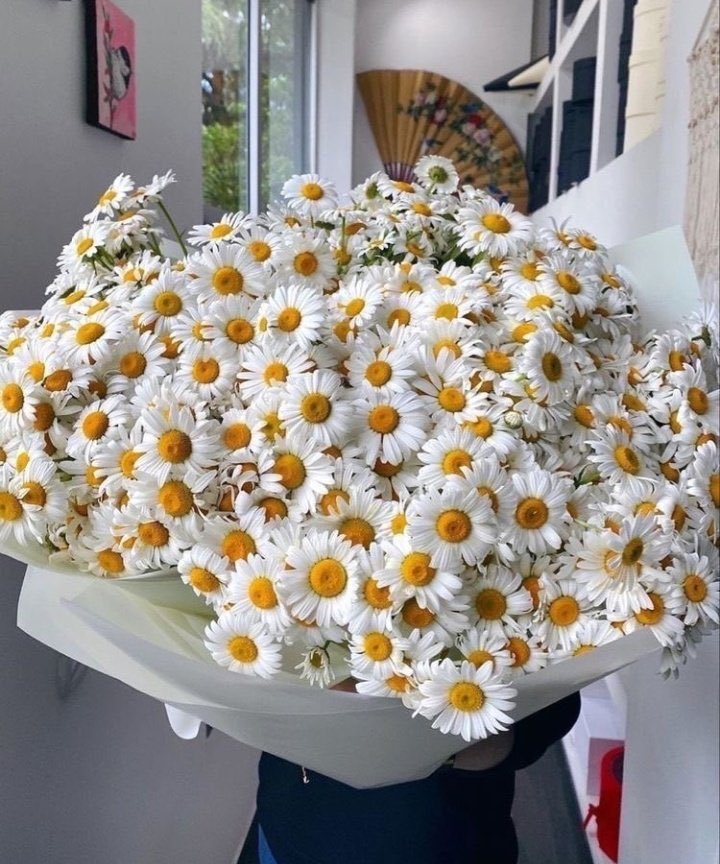 TimeforCpl's tweet photo. Erkekler, bize neden böyle şeylerle gelmiyorsunuz? 😒🧡 https://t.co/l5yKf8JhJ1