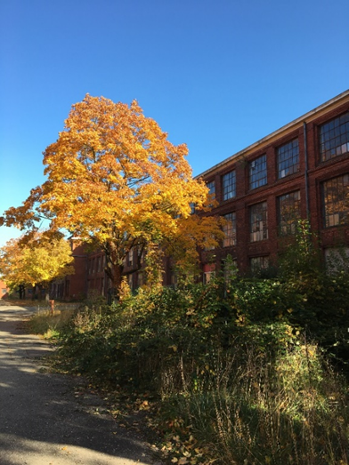 Mulhouse en Grand (@lutzmulhouse) on Twitter photo #Mulhouse et son agglomération poursuivent la mise en valeur du site DMC, un des plus beaux patrimoines industriels d’Europe avec la reconversion de 2 bâtiments supplémentaires, activement soutenue par l’Etat.
#CMMulhouse <a href="/Prefet68/">Préfet du Haut-Rhin</a> @JeanBouille #Mulhouse et son agglomération poursuivent la mise en valeur du site DMC, un des plus beaux patrimoines industriels d’Europe avec la reconversion de 2 bâtiments supplémentaires, activement soutenue par l’Etat.
#CMMulhouse <a href="/Prefet68/">Préfet du Haut-Rhin</a> @JeanBouille