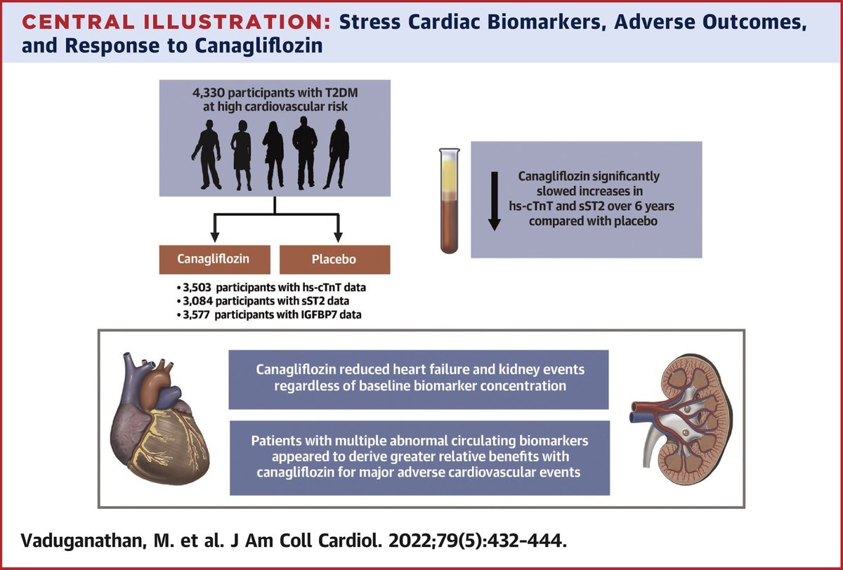 JACCJournals's tweet photo. Now out in #JACC!
The #SLGT2 class has revolutionized #CardioTwitter, nephrology, and beyond. What are the future avenues for guiding treatment and response? Work from CANVAS may help answer this question. https://t.co/C3pCcTNP79
#Diabetes #Canagliflozin #HeartFailure https://t.co/6qms4OxExX