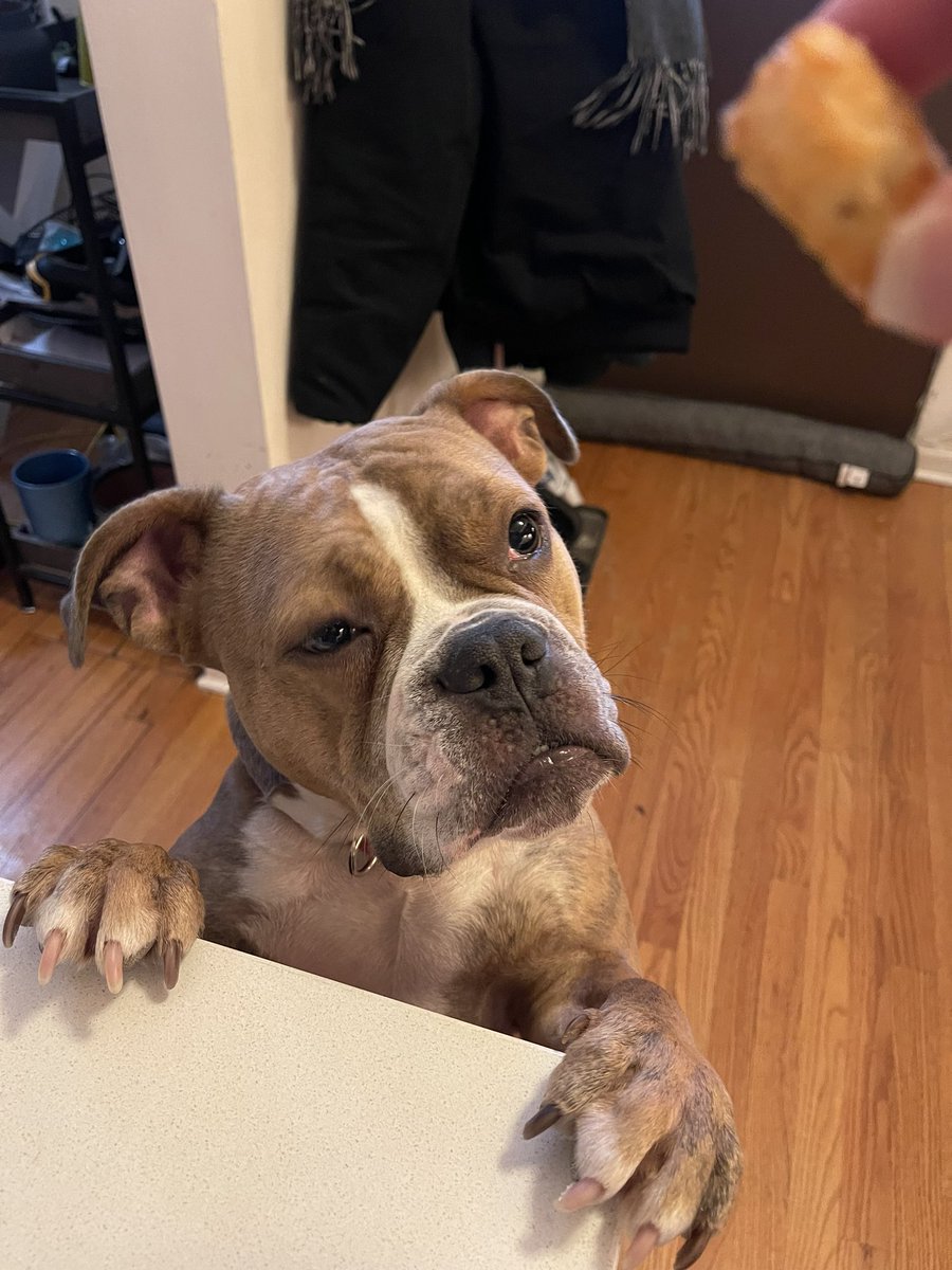 “Ma’am, are you going to give me the tater tot or not?” - probably Lola