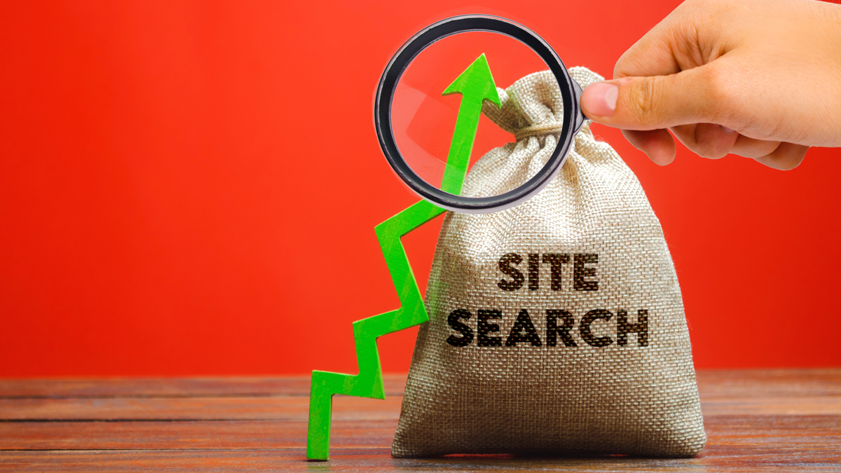 SoloSegment's tweet image. 2022 is the year of Site Search!  In the latest episode of SearchChat, we explore the ever-expanding role and value of site search, and how BETTER Site Search can help your business grow.
loom.ly/eRYUoCc
#b2bmarketing #customerexperiene #sitesearch