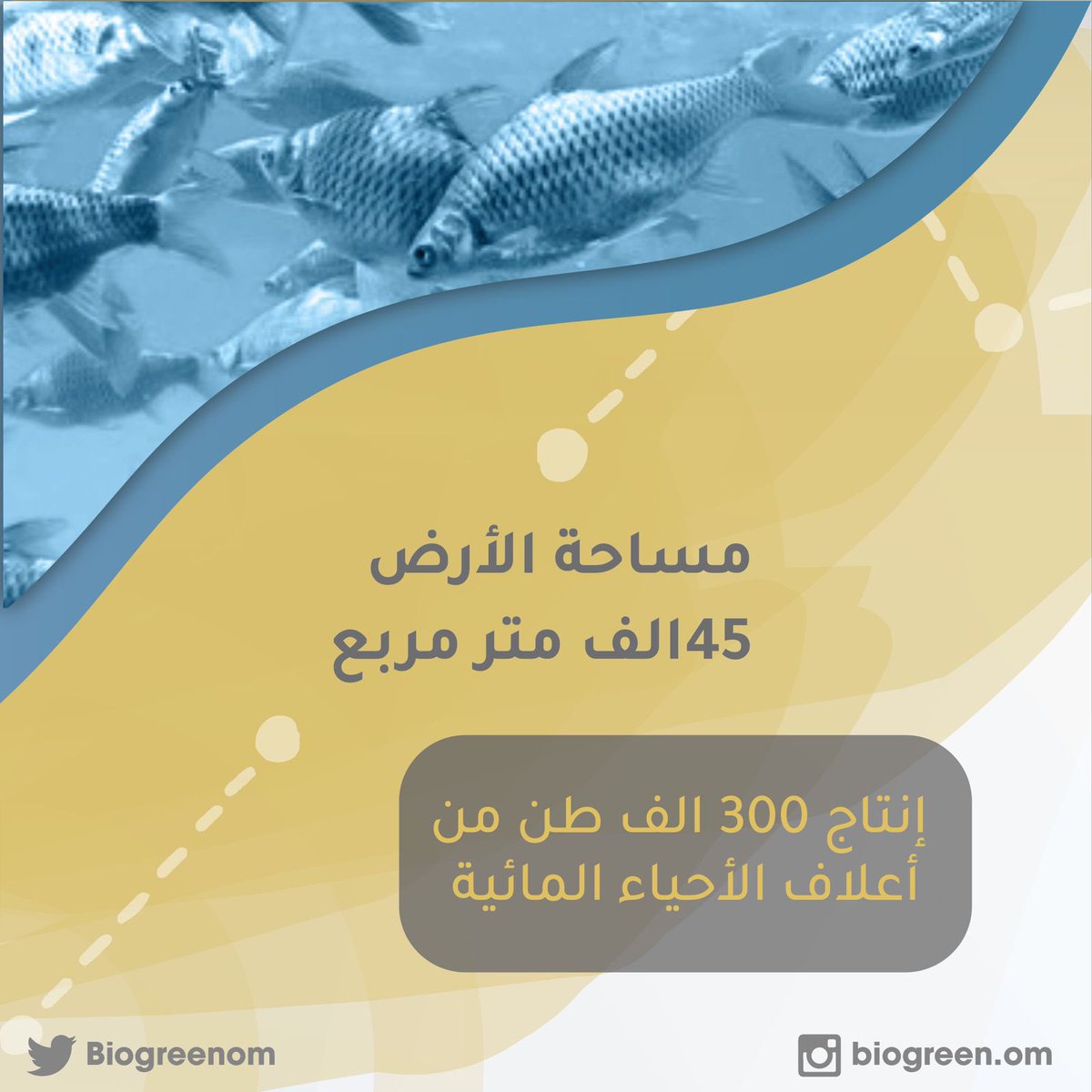 Biogreen Oman tweet media