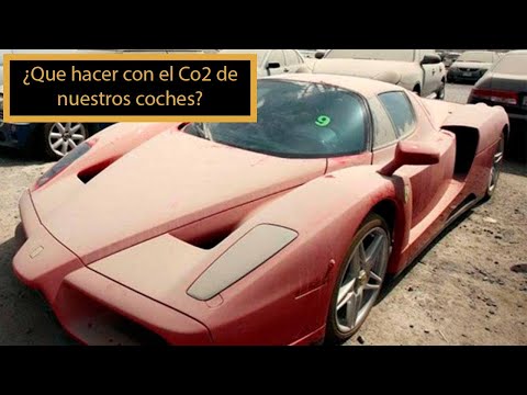Hoy <a href="/aitor_herrero/">Aitor Herrero</a>  os explica cómo anular el Co2 que produce vuestro coche para que la chiquilla de <a href="/Chicocartera/">Chicocartera</a> pueda crecer entre árboles, sin calentamiento global y feliz.