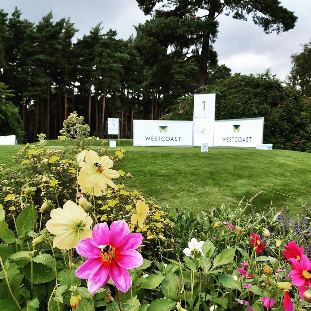 bearwoodlakes's tweet photo. 📢 Registration is now open!
Our Westcoast Pro-am is live... https://t.co/Cn3AHyYhaI
@PGASouth https://t.co/1MjRKcA8YQ