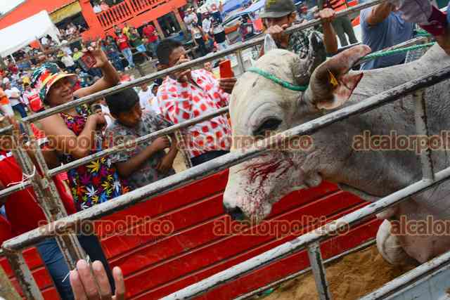 alcalorpolitico's tweet photo. #NoticiasAlCalor 🔥| Realizan la tradicional suelta de toros durante la edición 245 de la Candelaria, en #Tlacotalpan. Los animales terminaron ensangrentados, turistas les arrojaban golpes o líquidos; no hubo ningún detenido al respecto.
#ChécaloEnAlCalor https://t.co/kH1K4e8aIT