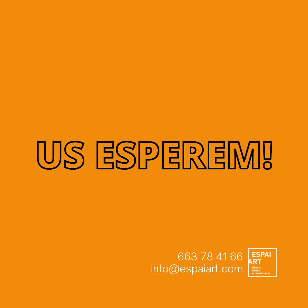 Els instruments que t’enyoren!